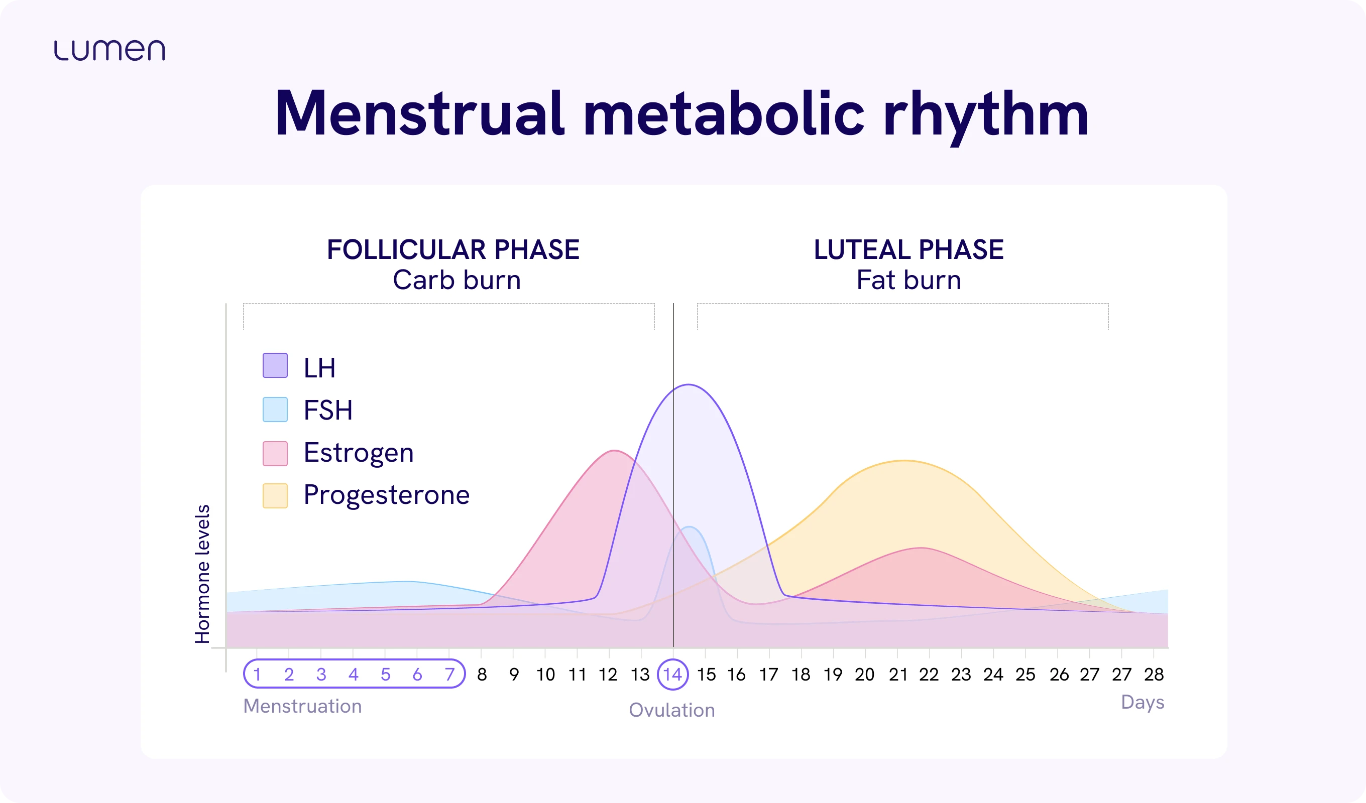 Metabolic health and monthly cycle