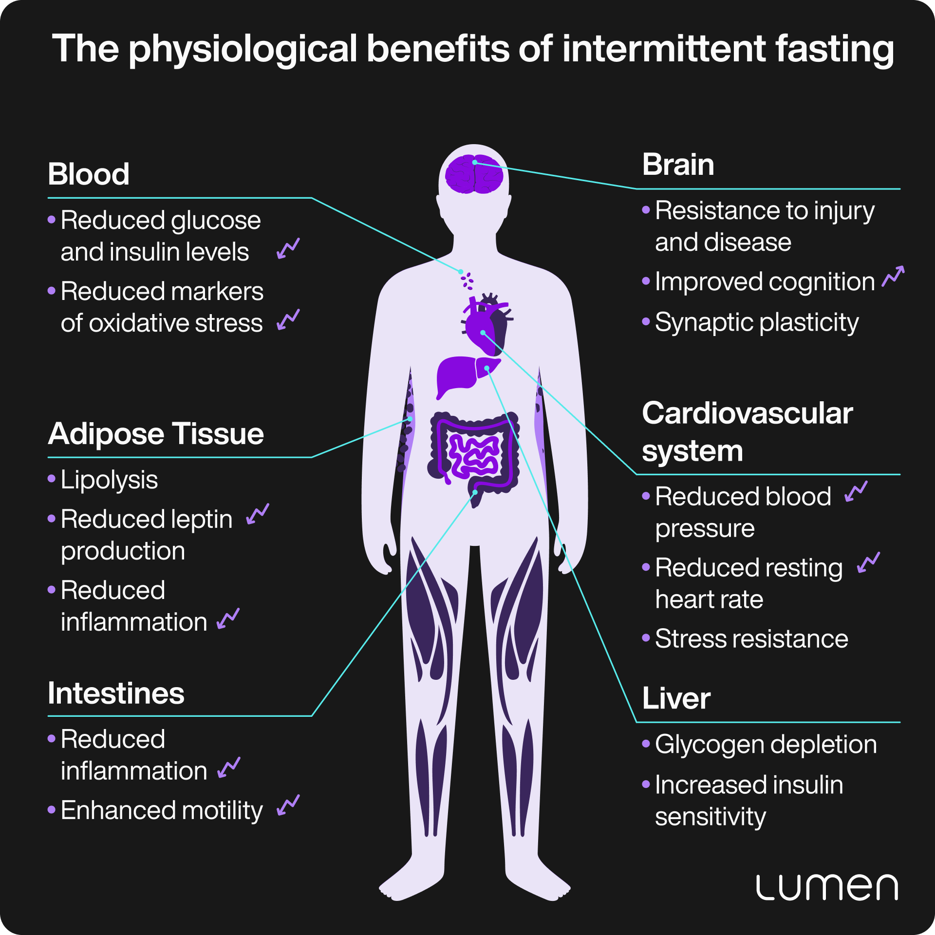 intermittent fasting benefits for women