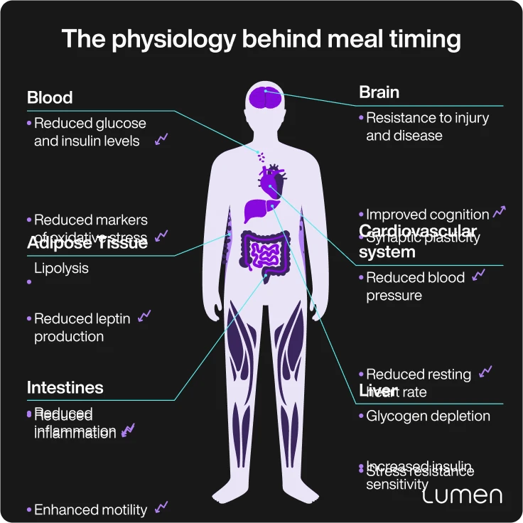 intermittent fasting benefits for women