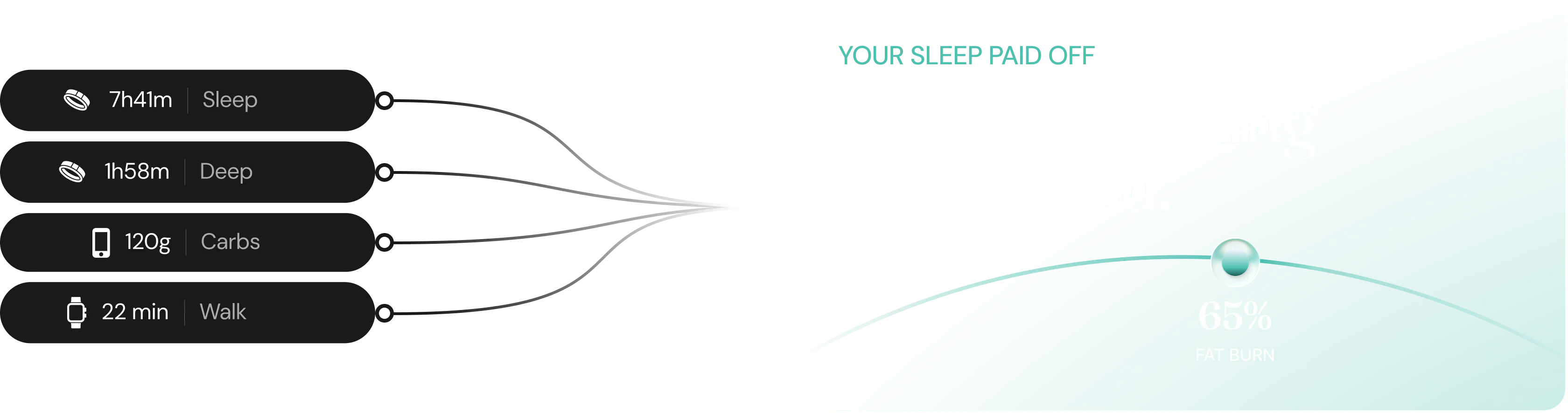 Sleep, deep sleep, carbs and a walk add up to 65% fat burn — your sleep paid off.