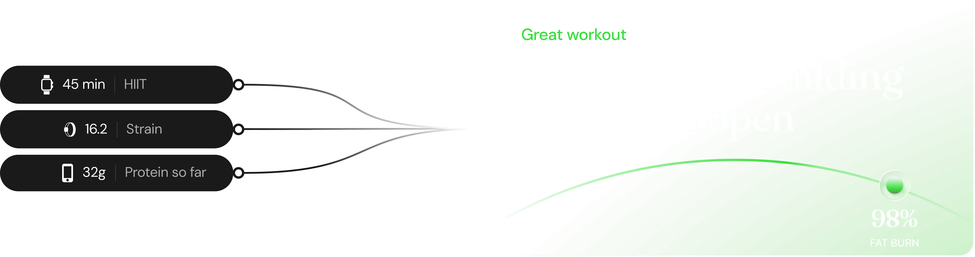 A 45 minute HIIT session, 16.2 strain and 32g of protein add up to 98% fat burn — your muscle-building window is open.